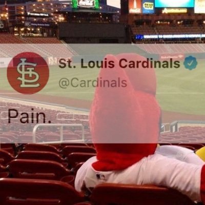15 | small brain | @Cardinals fan | Stone#2517 | he/him | pain | #STLCards #STLBlues #AllForCity