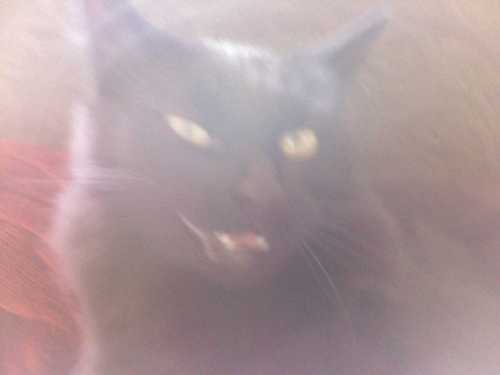 cannybar's profile picture. It puts it on it's skin, or it gets Tweeted again...