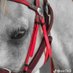 Waed (@a5765133) Twitter profile photo Waed (@a5765133) Twitter profile photo