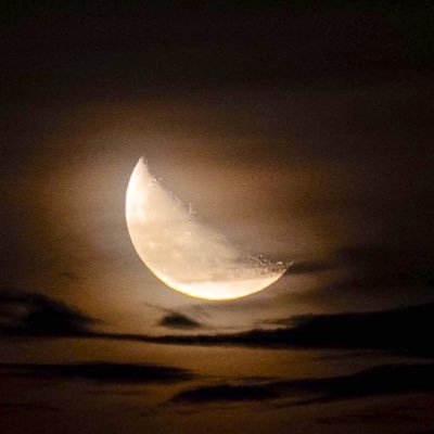 eliocruzmd's profile picture. Level 32