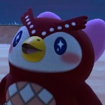 socioxo's profile picture. 