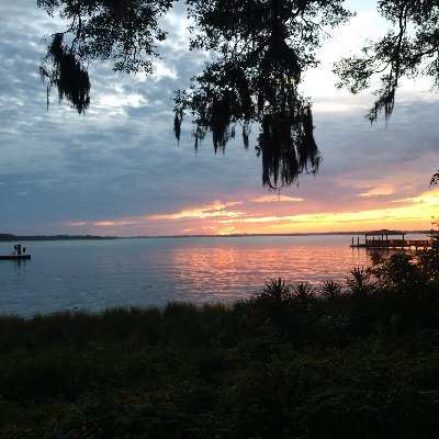 ccwhhi's profile picture. 