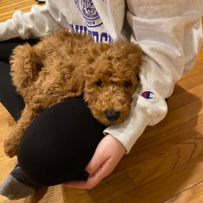 MartinDeirdre's profile picture. 