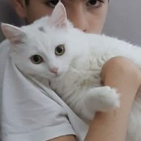 içimdeki kedi(@FadimeAnlfad) 's Twitter Profile Photo
