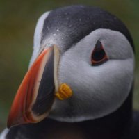 Ivor Juan (@wharton_john) 's Twitter Profile