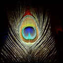 adrian peter - @supwiththatshit - Twitter