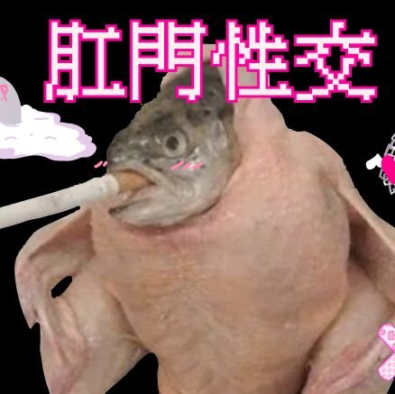 kaeya supremacistさんのプロフィール画像