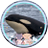 orca_circa