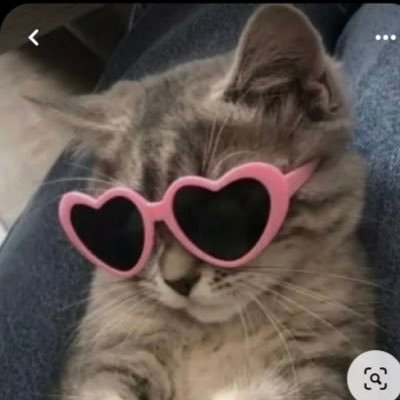 girliogonewild's profile picture. This Is My Burn Book, Dumping Ground For Everything And Anything I Think Of Or See Online That I Feel Needs To Be Posted