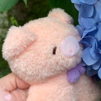ほほちゃんとばーぶぅ (@hohochan_) 's Twitter Profile