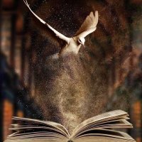 مينا فادي (@minaafady) 's Twitter Profile