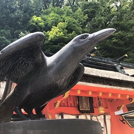 ヤタ・ガラス ぽんこつ信者⛩️ﾟ🐺🦴さんのプロフィール画像