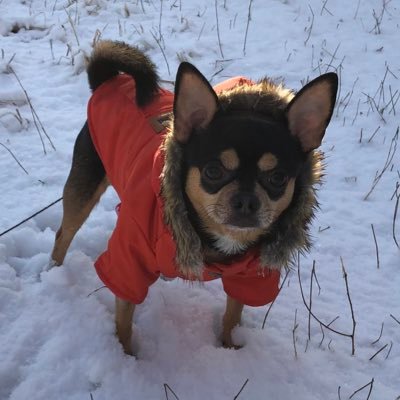 nagisakoharu's profile picture. いろいろなゲーム界隈に棲息中〜 ヽ(´▽｀)/