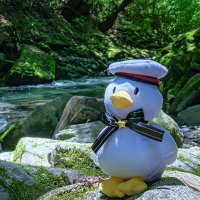 たぬきち (@tanuki880) 's Twitter Profile