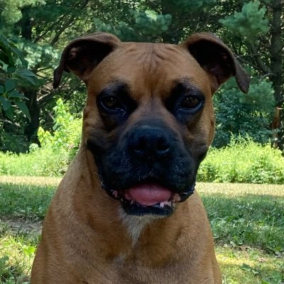 Michael31650850's profile picture. 