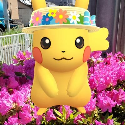 初めまして😊懸賞✍️ポケモンGO🚶K―pop💃園芸🌷食べる事が大好きです🎀無言フォロー大歓迎です🎀。　必ずフォロバ😊　　　🙇無言フォロー失礼します🙇‍♀️🎊当選報告は写真とメッション付きでご紹介させて頂きます。拡散も頑張ります🥰
🌸#あられちゃんの当選報告🐾🐧🌸