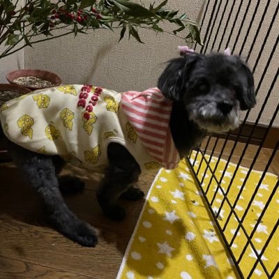 yui_sawada0808's profile picture. #SUNABACO 卒業生 /プログラミング15th デザイン10th