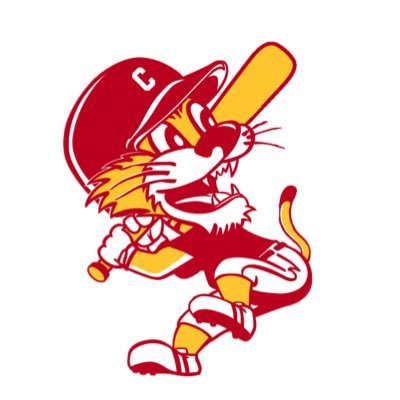 Official Twitter page of Carlisle Softball. Will be posting in game updates and more throughout the season. *State Champions '94, '96, '97, '10, '19*