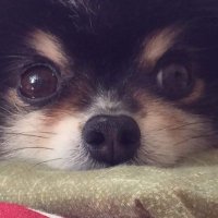 白黒ジョニー (@bwjohnny925) Twitter profile photo