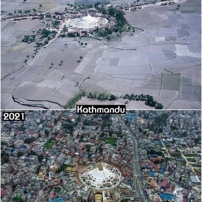 Szafranski328's profile picture. 