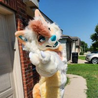 Adrian Fox Dog - TFF (@adrianfoxdog) 's Twitter Profile Photo Adrian Fox Dog - TFF (@adrianfoxdog) 's Twitter Profile Photo
