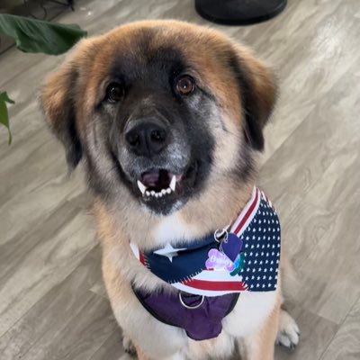 jlefranco1s's profile picture. 