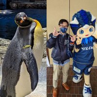 鈴木ちゃん (@suzukichan_ngs) 's Twitter Profile Photo