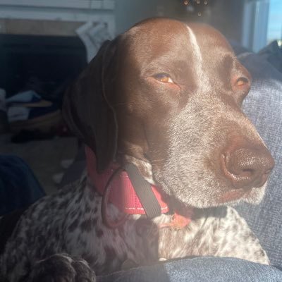 jdelaw82's profile picture. 