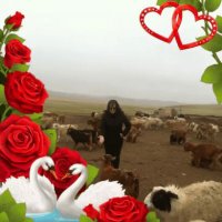 Мадаам🌍🙏🇲🇳 (@etuwshe) 's Twitter Profile