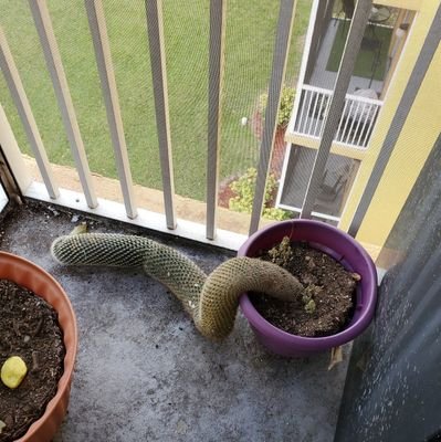 FL_BMS's profile picture. 