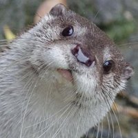 Eklectico Hipokrita (@ehipokrita) 's Twitter Profile