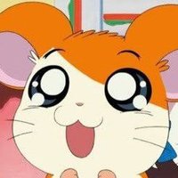 🍊 (@ika__mikan2) 's Twitter Profile Photo