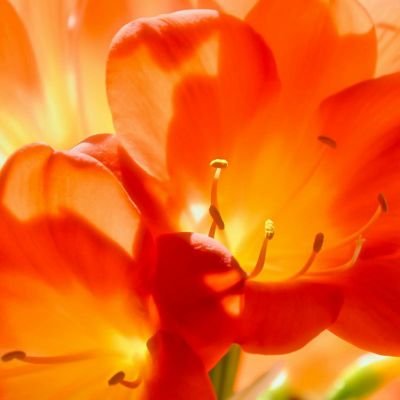 まささんのプロフィール画像