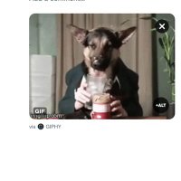 kooky German Shepherd (@johnkri9691) 's Twitter Profile Photo kooky German Shepherd (@johnkri9691) 's Twitter Profile Photo