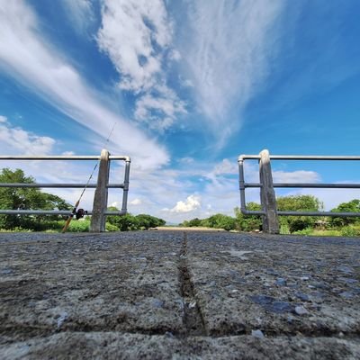 schecter00's profile picture. 