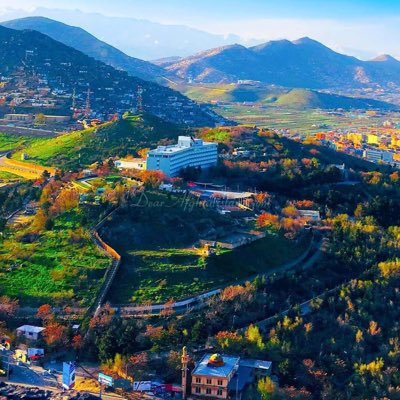 Sayed00000001's profile picture. 