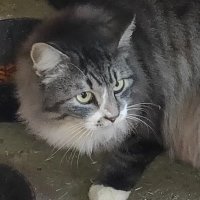 pyoi2nd2020 (@pyoi2nd2020) 's Twitter Profile