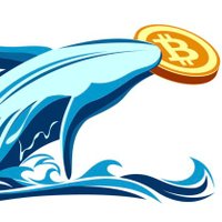 Chinese Whale Lab🐳💎(@ChineseWhaleLab) 's Twitter Profile Photo