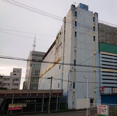 momo1524604's profile picture. 