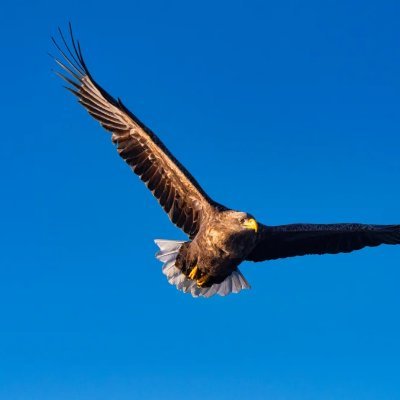 AQSahabPK's profile picture. No bio exists!