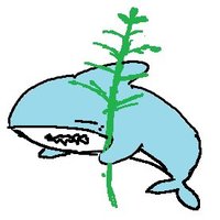 ささざめ🎋🦈 (@sasazame) 's Twitter Profile Photo ささざめ🎋🦈 (@sasazame) 's Twitter Profile Photo