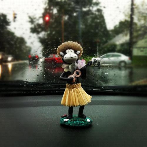 chachachat's profile picture. Never a dull moment.