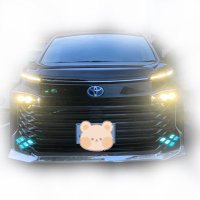 SAYO@VOXY S-Z.23/6/18納車🌸 (@sayo_voxy716) 's Twitter Profile