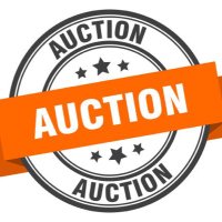 AUCTION(@the_auction_) 's Twitter Profile Photo
