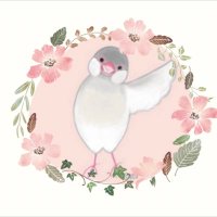 文鳥雑貨とハンドメイド Seika 〜静華〜 (@seika202101) 's Twitter Profile