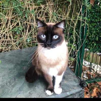 MateoTx's profile picture. Padre de tres maravillosas personas