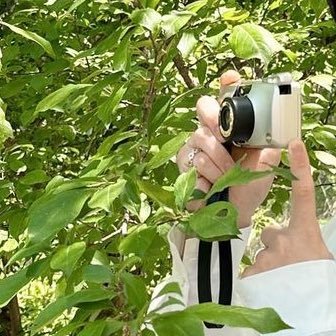 20↑👩社会人 ♡ZEROBASEONEジウン 不成立のお取引へのリプは2日後以降に消去させて頂きます。 交換したものを再度交換に出す場合がございます🙇‍♀️ 副業垢など自衛ブロックしております。 本垢提示可能 ツイフィ⬇️