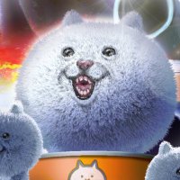 杉崎健一 (@nikunikidaisuki) Twitter profile photo