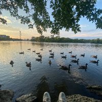 amen (@a1ath251) 's Twitter Profile