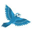 Usman Azeem 🇵🇰 - @uappoint05 - Twitter